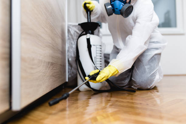 Best Exterminator Services  in River Ridge, FL