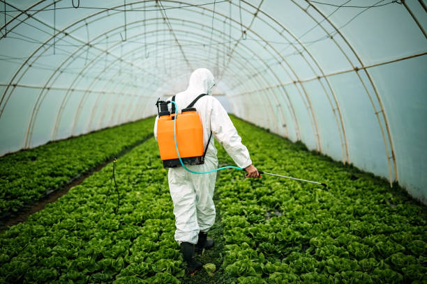 Best Best Pest Control Companies  in River Ridge, FL