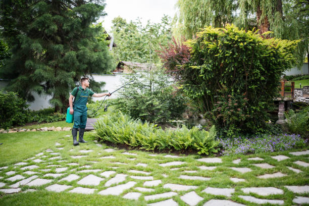 Best Affordable Pest Control Services  in River Ridge, FL