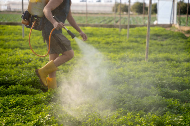 Trusted River Ridge, FL Pest Control Experts