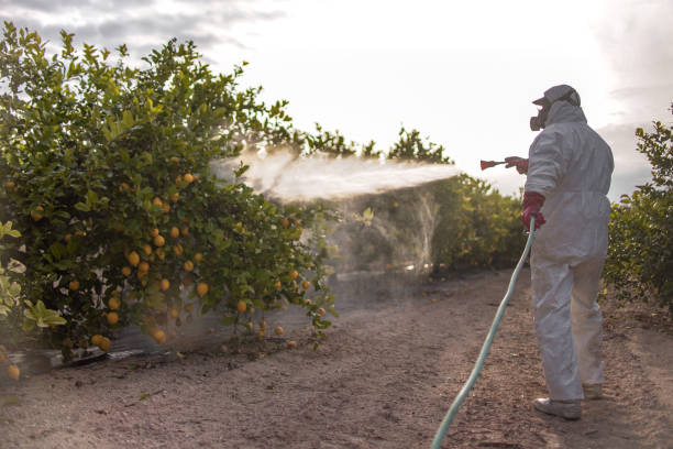 Best Emergency Pest Control  in River Ridge, FL
