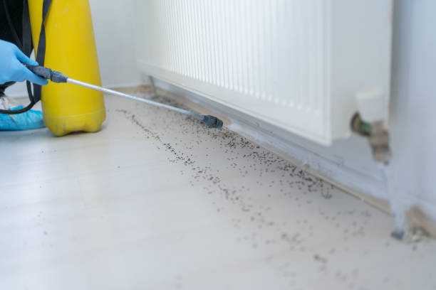 Best Wildlife Control Services  in River Ridge, FL